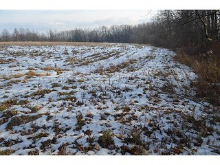 Property photo 30 - FARMLAND AUCTION, 60+/- Acres in 6 Tracts ranging from 4 to 20 acres & in combinations!